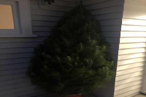 Photo of property in 317 River Road, Claudelands, Hamilton, 3214