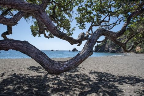 Photo of property in 1192 Rawhiti Road, Rawhiti, Hikurangi, 0184