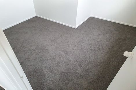 Photo of property in 290 Staniforth Road, Mangawhai, Wellsford, 0975