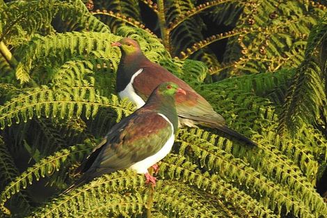 Photo of property in 194c Pekanui Road, Puketotara, Te Awamutu, 3876