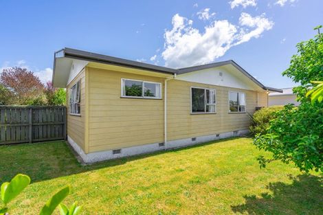 Photo of property in 30 Stout Street, Masterton, 5810