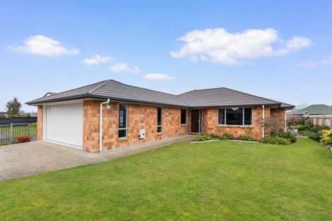 Photo of property in 67 Moorhouse Street, Morrinsville, 3300