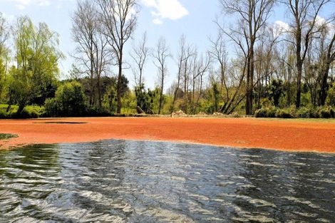 Photo of property in 70 Te Whanga Road, Levin, 5572