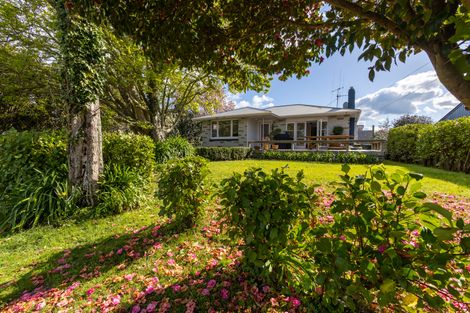 Photo of property in 4 Glover Street, Leamington, Cambridge, 3432