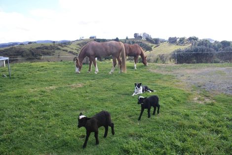 Photo of property in 169 Te Toiroa Road, Ngunguru, Whangarei, 0173