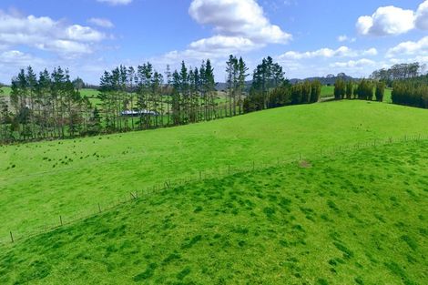 Photo of property in 123 Whakapirau Road, Wellsford, 0973