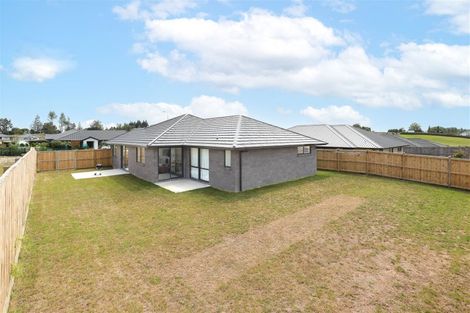 Photo of property in 11 Murray Ward Drive, Te Kauwhata, 3710