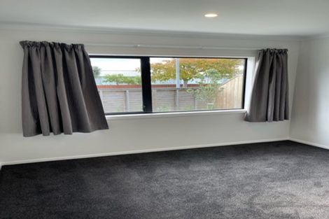 Photo of property in 24a Paisley Street, Awapuni, Palmerston North, 4412