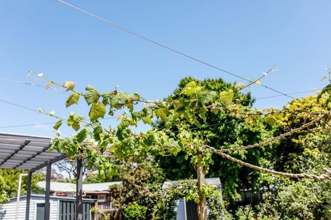 Photo of property in 28 Ferry Road, Whakatane, 3120