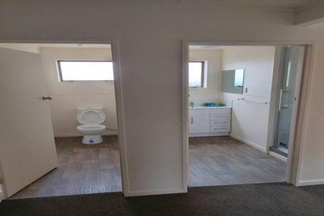 Photo of property in 892 Main Street, Roslyn, Palmerston North, 4414