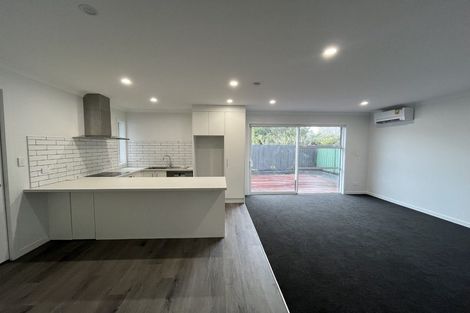 Photo of property in 3 Rumney Street, Fairfield, Hamilton, 3214