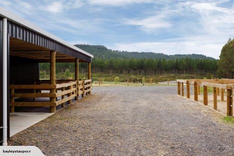 Photo of property in 437 Poihipi Road, Wairakei, Taupo, 3377