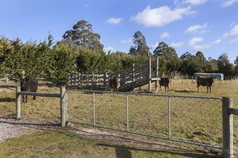 Photo of property in 50 Forestry Road, Ashley, Rangiora, 7477