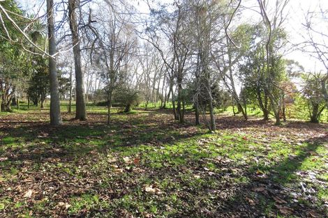 Photo of property in 25 Heatherlea Road East, Levin, 5571