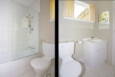 Photo of property in 67 Holloway Road, Aro Valley, Wellington, 6021