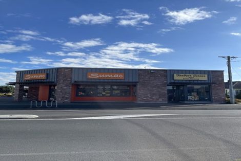 Photo of property in 18e Fifth Avenue, Enderley, Hamilton, 3214