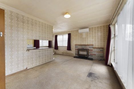 Photo of property in 55 Read Street, Levin, 5510