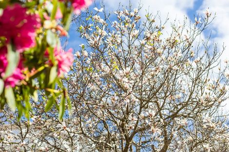 Photo of property in 3 Bell Street, Tawa, Wellington, 5028