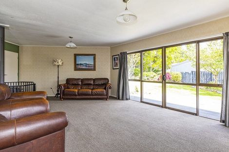 Photo of property in 47 Mayfield Klondyke Road, Mayfield, Ashburton, 7778