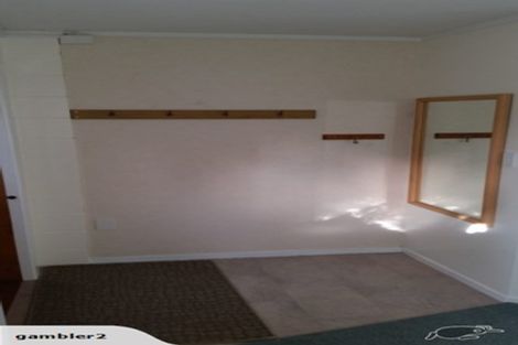 Photo of property in 80 Taipari Street, Maungatapu, Tauranga, 3112