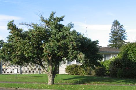 Photo of property in 115 Paraonui Road, Tokoroa, 3420