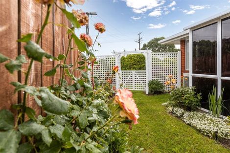 Photo of property in 176 Weld Street, Witherlea, Blenheim, 7201