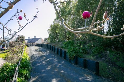 Photo of property in 79 Maungakawa Road, Cambridge, 3496