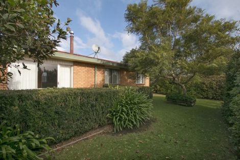 Photo of property in 141 Park Road, Katikati, 3129