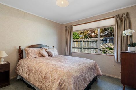 Photo of property in 9 Wilkinson Place, Richmond, 7020