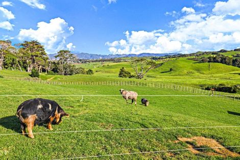 Photo of property in 227 Whiriwhiri Road, Otaua, Waiuku, 2682