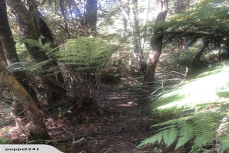 Photo of property in 31 Raglan Road, Kawhia, 3878