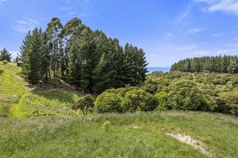 Photo of property in 61 Big Stone Road, Brighton, 9091