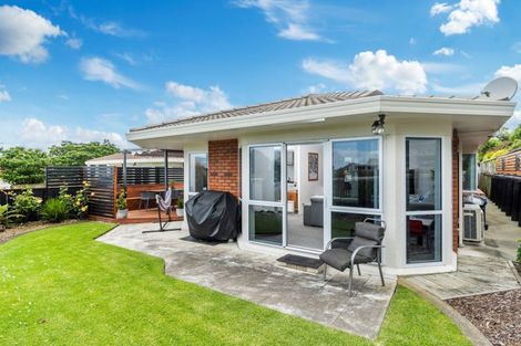 Photo of property in 6 Palm Court, Mount Maunganui, 3116