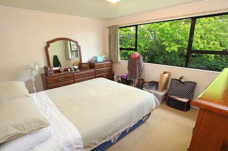 Photo of property in 96 Kelm Road, Ngaruawahia, Taupiri, 3791