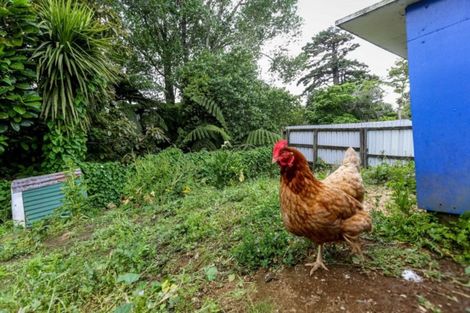 Photo of property in 56a Woodleigh Street, Frankleigh Park, New Plymouth, 4310