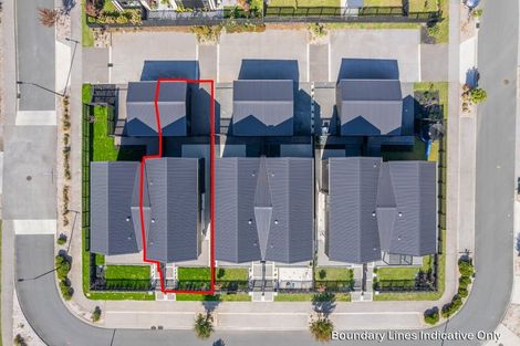 Photo of property in 52 Musselwhite Terrace, Chartwell, 3210