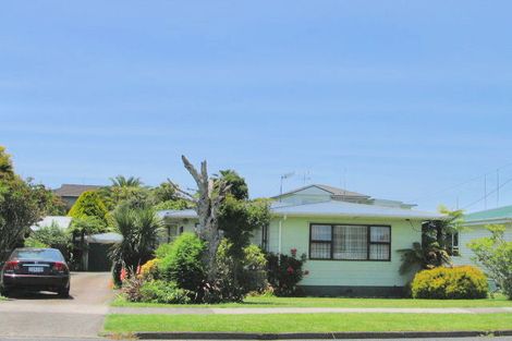 Photo of property in 28 Rangitahi Street, Otorohanga, 3900
