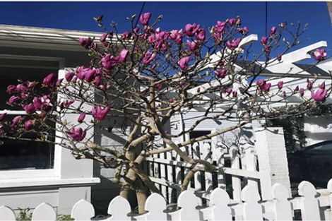 Photo of property in 129 Grant Road, Thorndon, Wellington, 6011