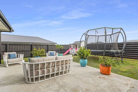 Photo of property in 6 Redhaven Rise, Netherby, Ashburton, 7700