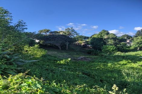 Photo of property in 57 Union Street, Waihi, 3610