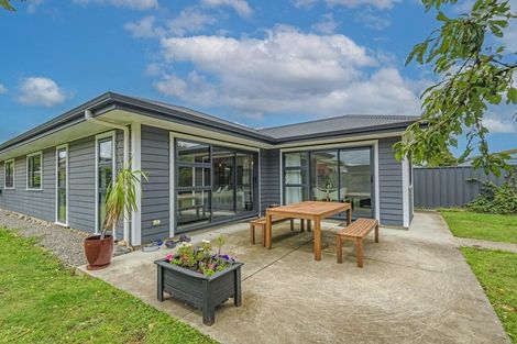 Photo of property in 153 Stanford Street North, Ashhurst, 4810