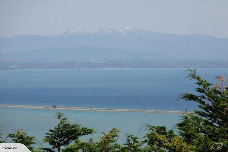 Photo of property in 141 Dodson Valley Road, Atawhai, Nelson, 7010