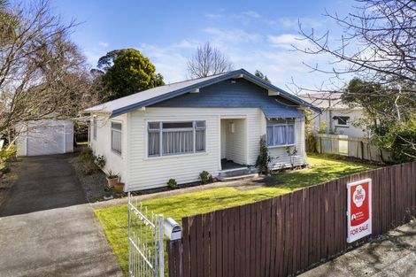 Photo of property in 20 Ngaio Street, West End, Palmerston North, 4412