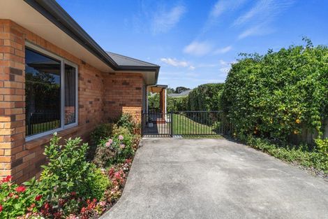 Photo of property in 58 Stirling Drive, Morrinsville, 3300