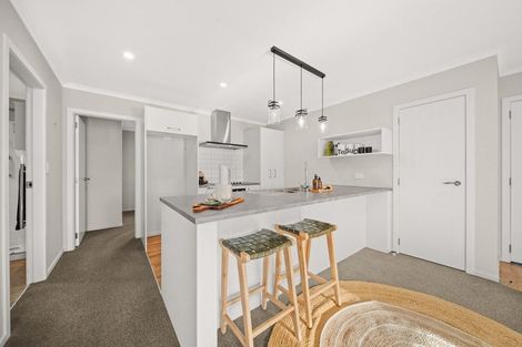 Photo of property in 23 John Mcdonald Mews, Masterton, 5810