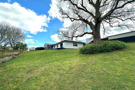 Photo of property in 26 Harlock Place, Huntly, 3700