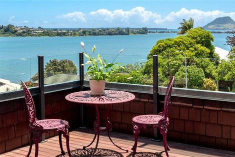 Photo of property in 80 Fifth Avenue, Tauranga, 3110