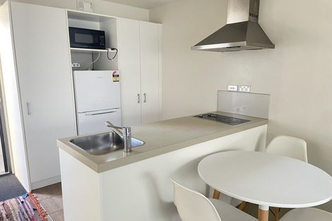 Photo of property in 158 Raroa Road, Aro Valley, Wellington, 6012