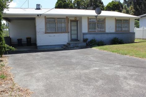 Photo of property in 24 Hinau Street, New Lynn, Auckland, 0600