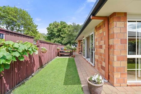 Photo of property in 62b Findlater Street, Matamata, 3400